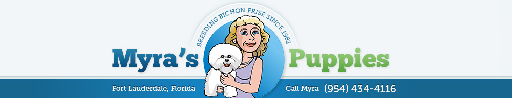 myra bichon breeder